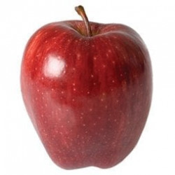 Jablka velké červená 1kg